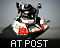 Anti-Armor Emplacement